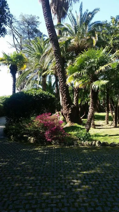 Rapallo Suite 0*,