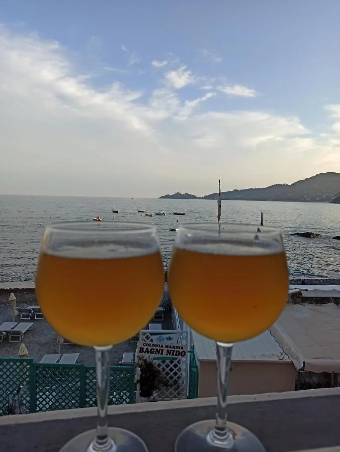 Rapallo Suite 0*,